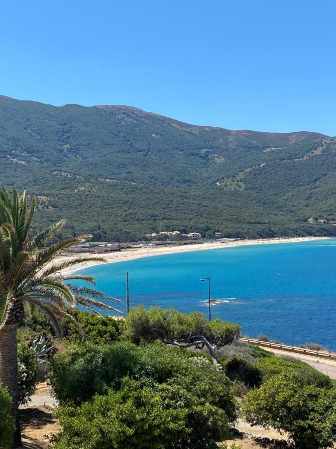 Villa Les Palmiers Calcatoggio  Exteriér fotografie